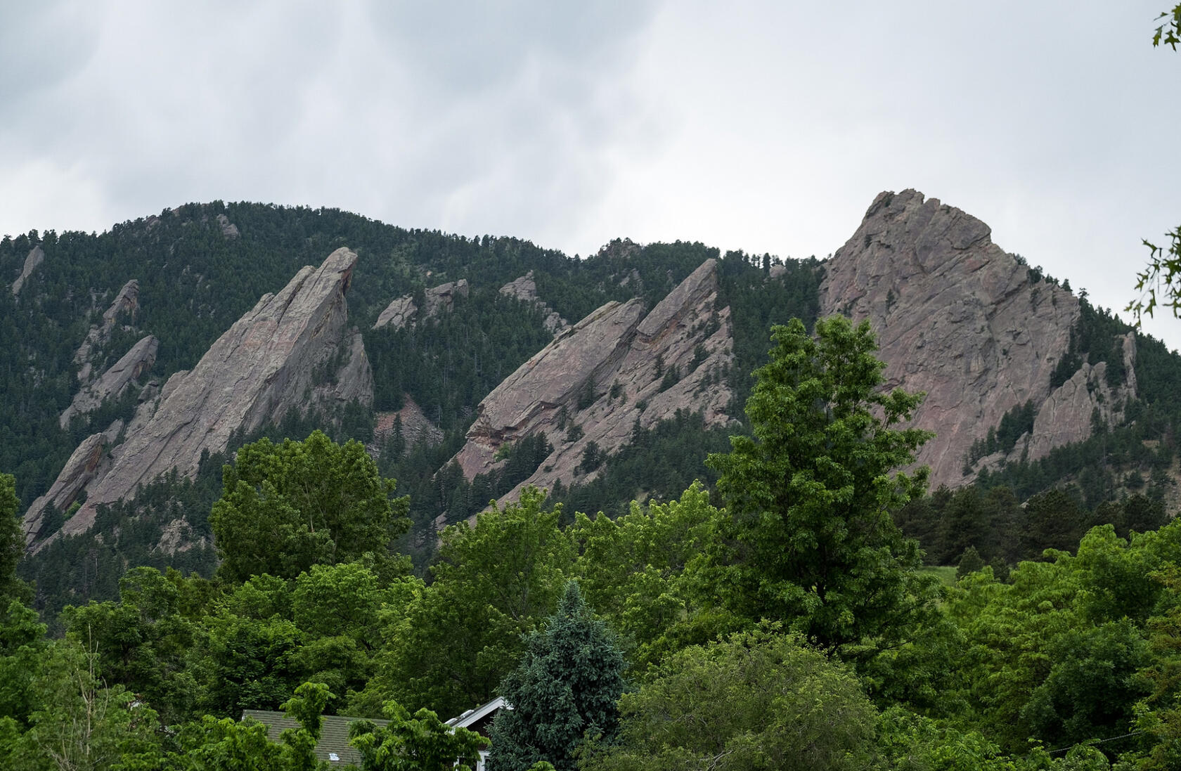 Boulder Startup Week